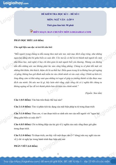 Đề thi học kì 1 Văn 9 - Đề số 1